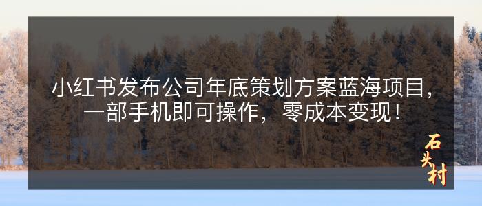 小红书发布公司年底策划方案蓝海项目，一部手机即可操作，零成本变现！