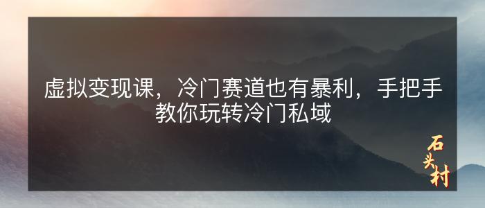 虚拟变现课，冷门赛道也有暴利，手把手教你玩转冷门私域