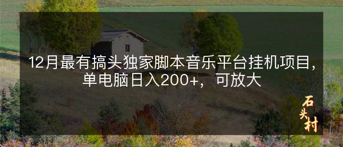 12月最有搞头独家脚本音乐平台挂机项目，单电脑日入200+，可放大