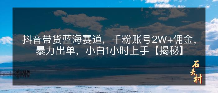 抖音带货蓝海赛道，千粉账号2W+佣金，暴力出单，小白1小时上手【揭秘】