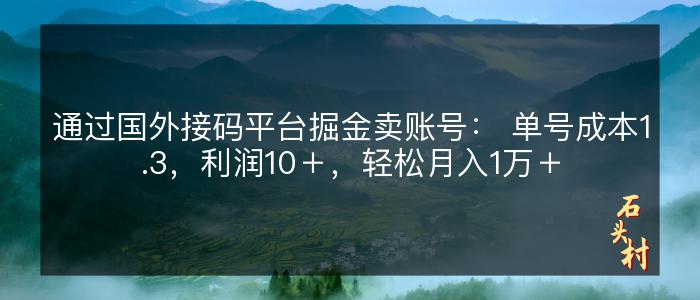 通过国外接码平台掘金卖账号： 单号成本1.3，利润10＋，轻松月入1万＋