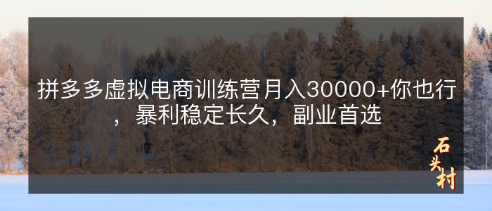 拼多多虚拟电商训练营月入30000+你也行，暴利稳定长久，副业首选