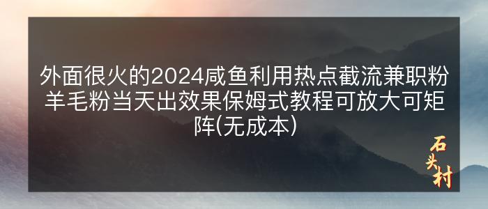 外面很火的2024咸鱼利用热点截流兼职粉羊毛粉当天出效果保姆式教程可放大可矩阵(无成本)