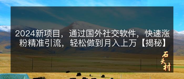 2024新项目，通过国外社交软件，快速涨粉精准引流，轻松做到月入上万【揭秘】