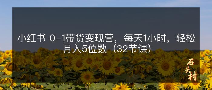 小红书 0-1带货变现营，每天1小时，轻松月入5位数（32节课）