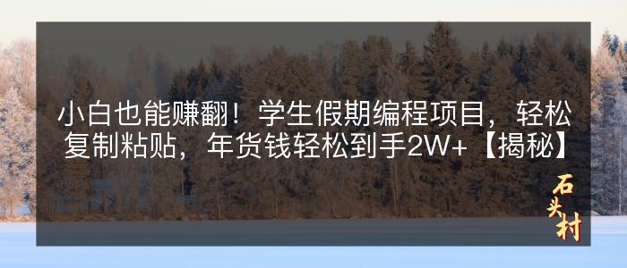 小白也能赚翻！学生假期编程项目，轻松复制粘贴，年货钱轻松到手2W+【揭秘】