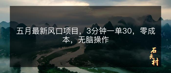 五月最新风口项目，3分钟一单30，零成本，无脑操作