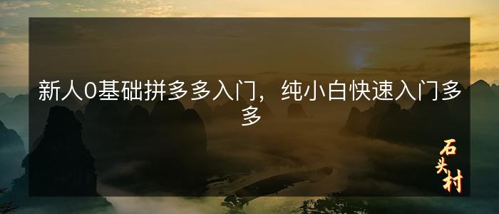 新人0基础拼多多入门，纯小白快速入门多多