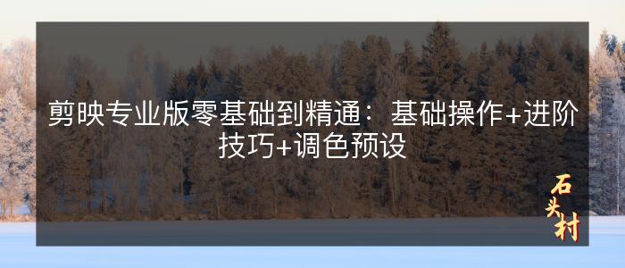 剪映专业版零基础到精通：基础操作+进阶技巧+调色预设