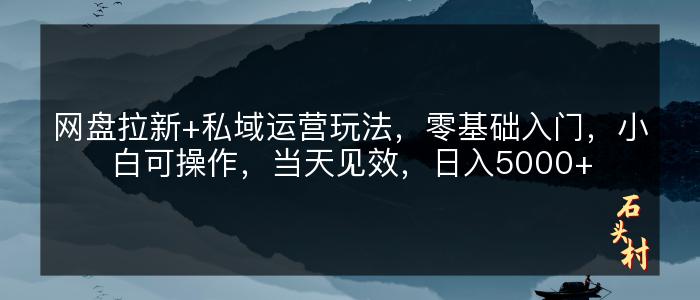 网盘拉新+私域运营玩法，零基础入门，小白可操作，当天见效，日入5000+