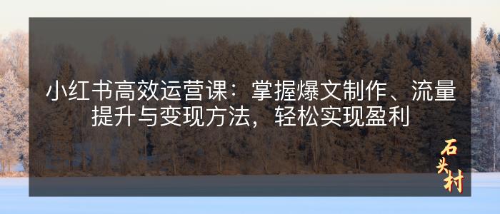 小红书高效运营课：掌握爆文制作、流量提升与变现方法，轻松实现盈利