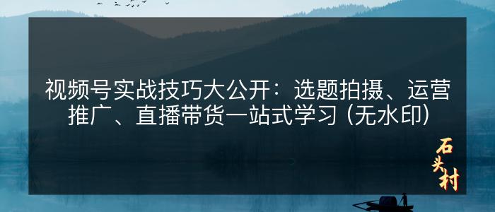 视频号实战技巧大公开：选题拍摄、运营推广、直播带货一站式学习 (无水印)